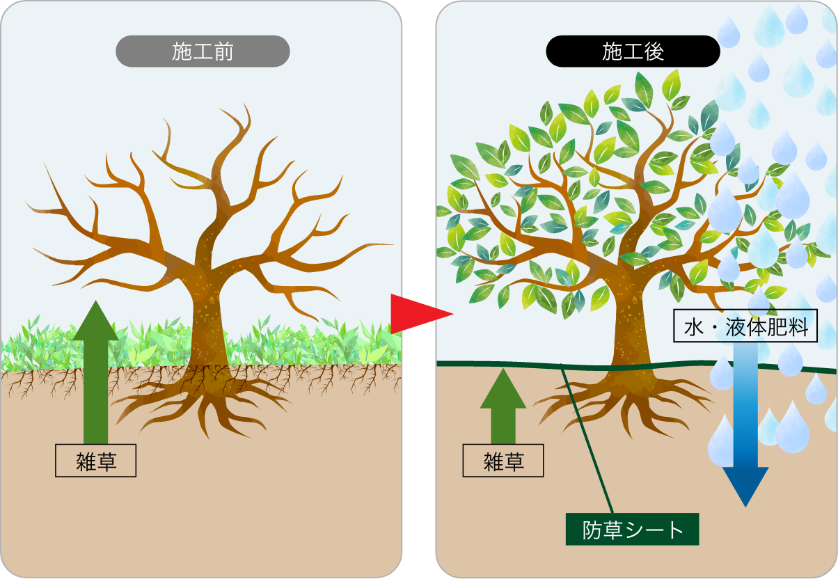 防草シート ザバーン・谷口産業No.2 -img-